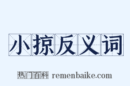 小掠反义词是什么意思的图片